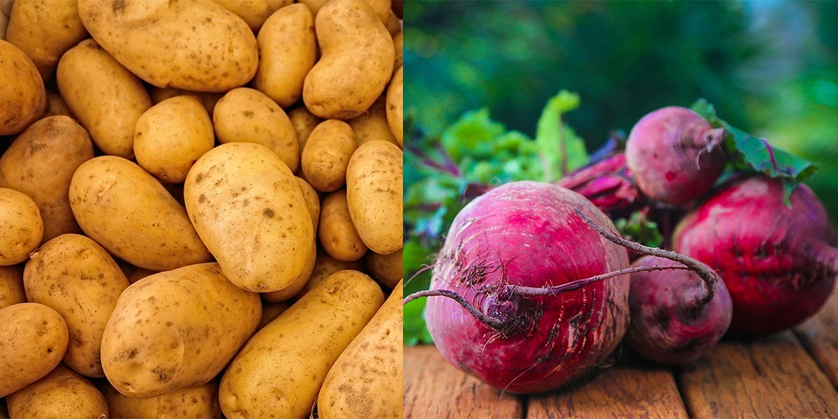 Da patate e barbabietole il futuro delle alternative vegetali?